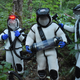 Entomologists with the Washington State Department of Agriculture remove a nest of murder hornets in a giant tube.